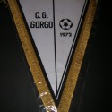 CG. Gorgo  157